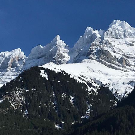 Chalet Hestia Champéry Kültér fotó